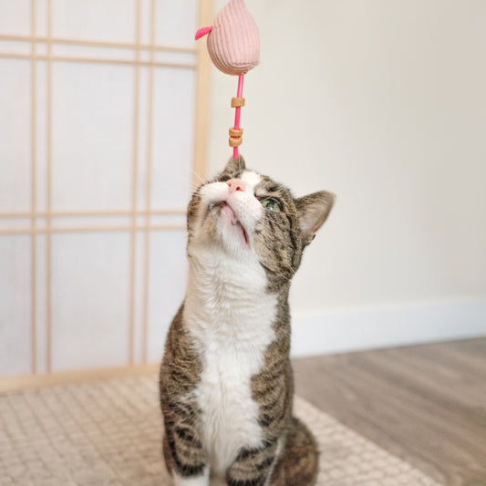 Plush Mouse Cat Treat n’ Toy