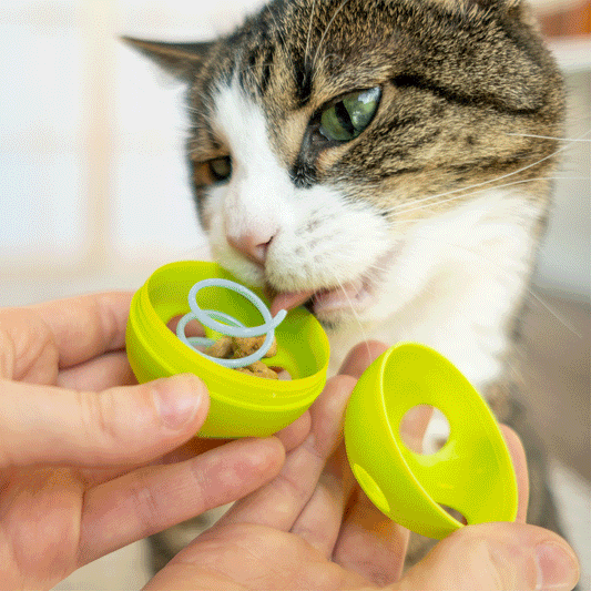 Purrkleball Treat Ball Cat Toy