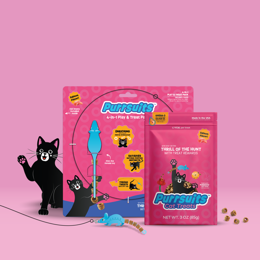 4-in-1 Play Pack, Finn the Mouse