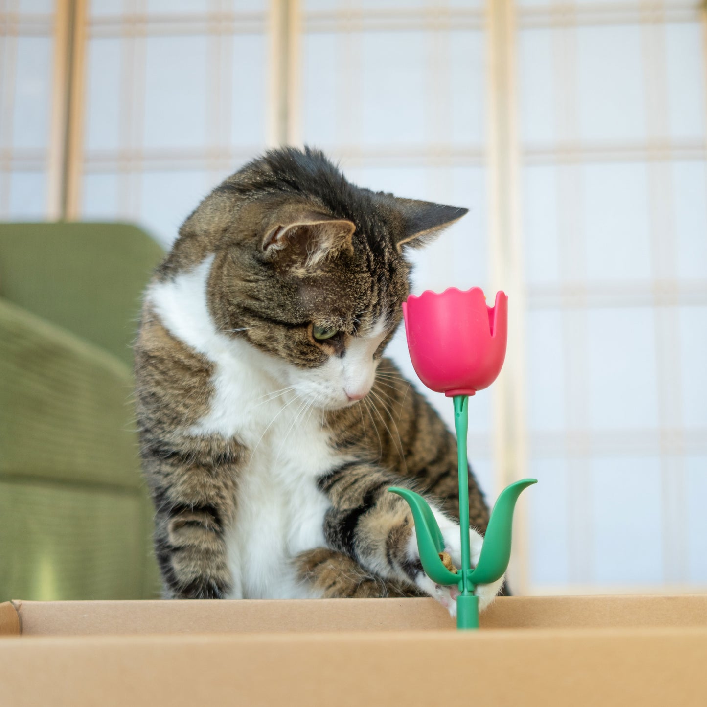 Springy Flower Cat Treat Toy