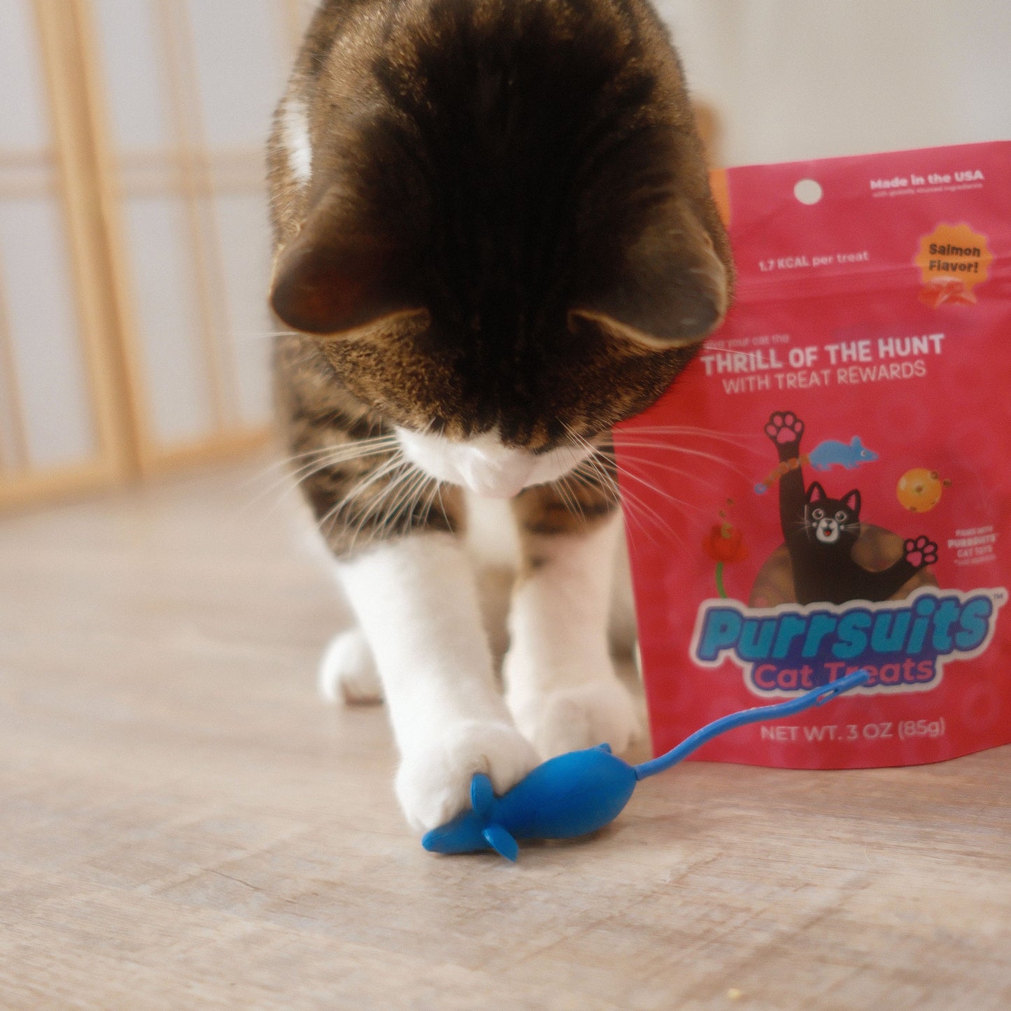 Mouse 4-in-1 Play Pack