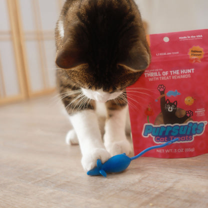 Mouse 4-in-1 Play Pack