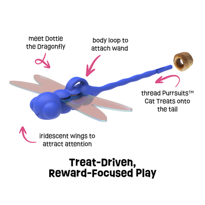Dragonfly 4-in-1 Play Pack