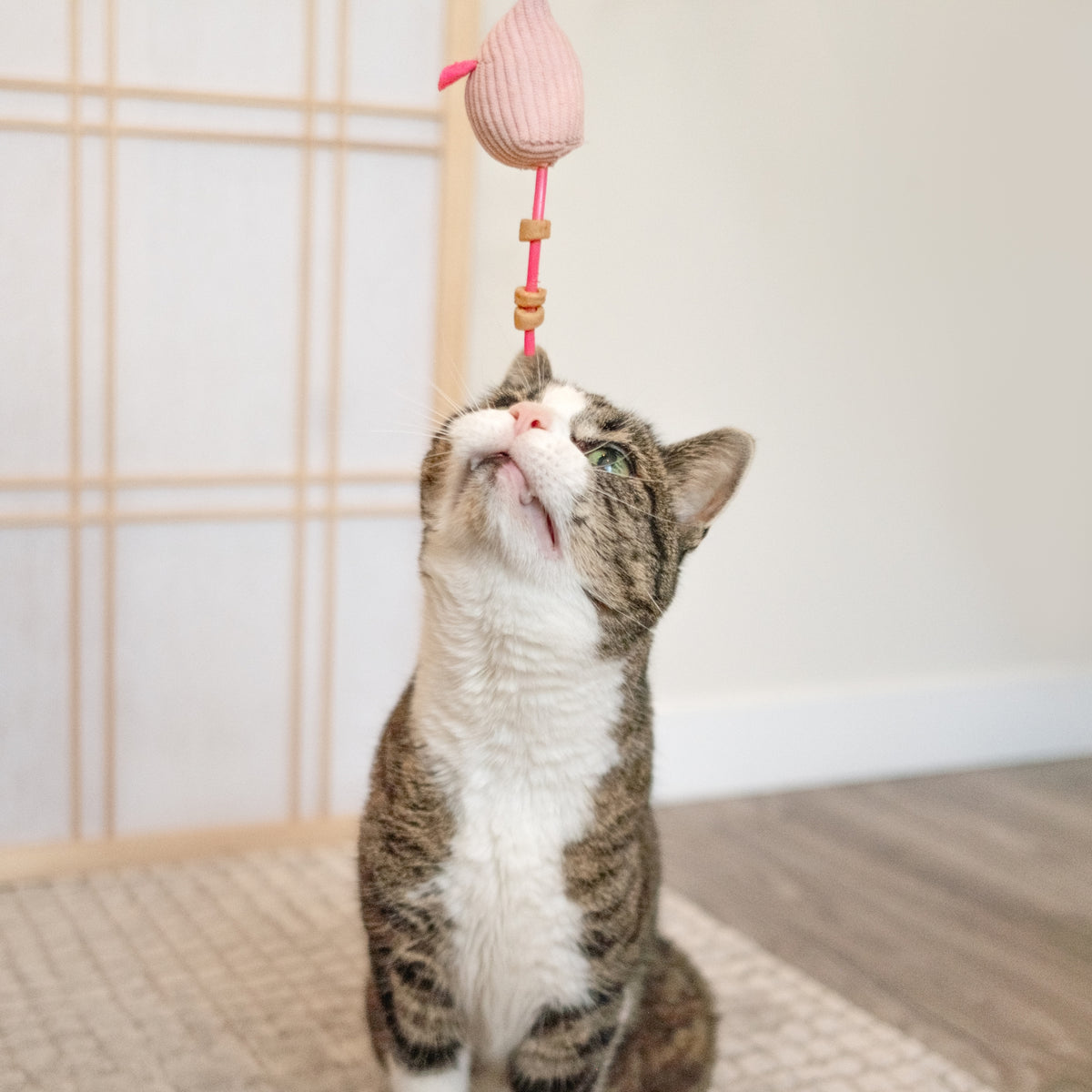 Plush Mouse Cat Treat n’ Toy