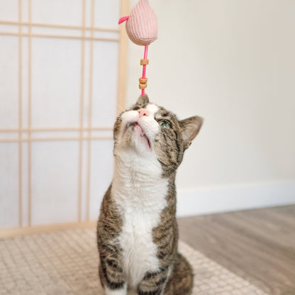 Plush Mouse Cat Treat n’ Toy