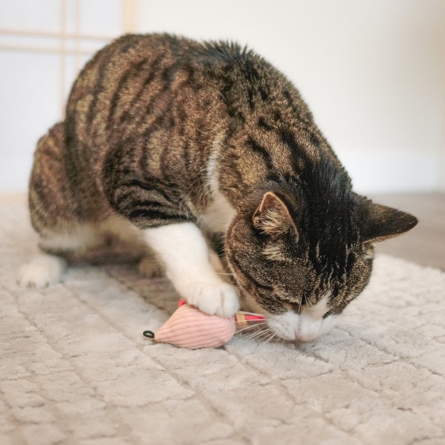 Plush Mouse Cat Treat n’ Toy