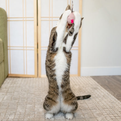 Plush Mouse Wand Cat Treat Toy