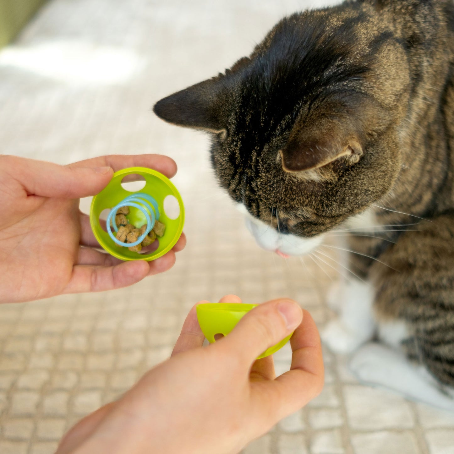 Purrkleball Treat Ball Cat Toy