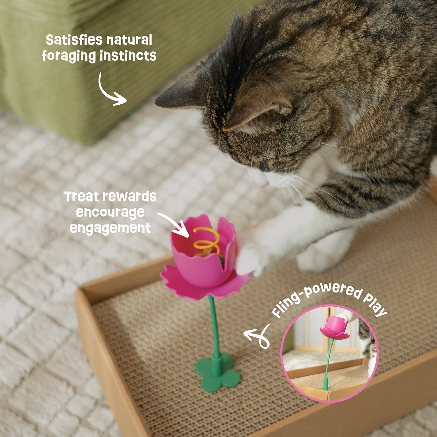 Springy Flower Cat Treat Toy and Treat Bundle