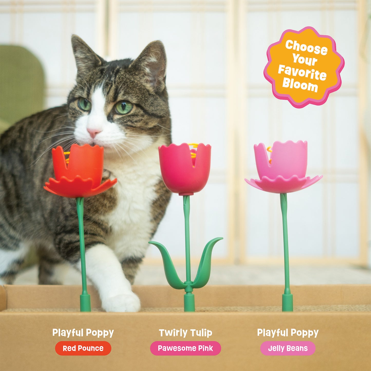 Springy Flower Cat Treat Toy and Treat Bundle