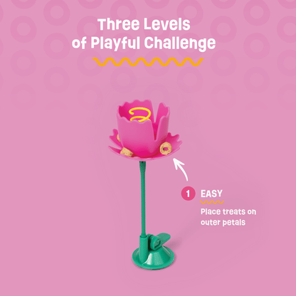Springy Flower Cat Treat Toy and Treat Bundle