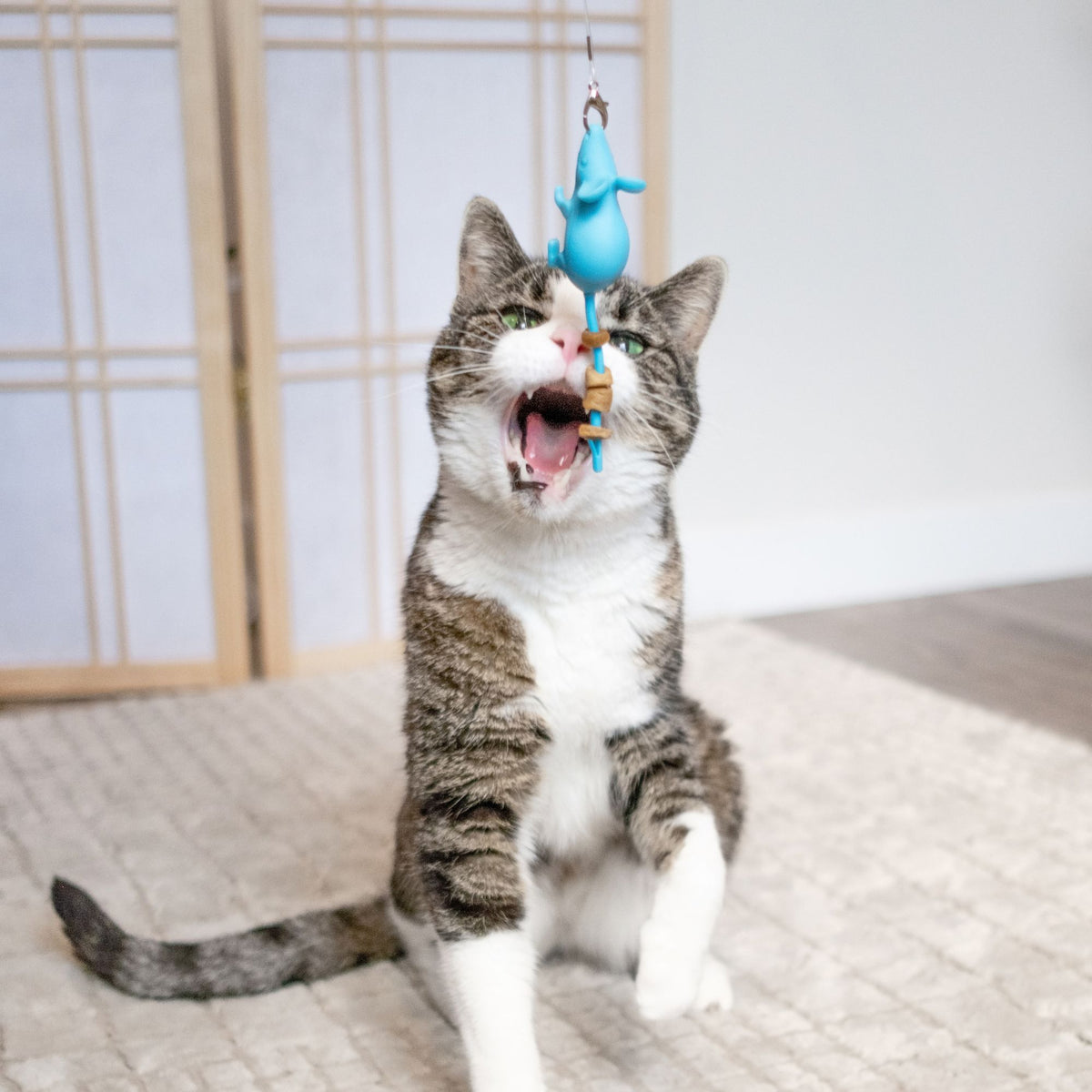 Mouse Wand Cat Treat Toy