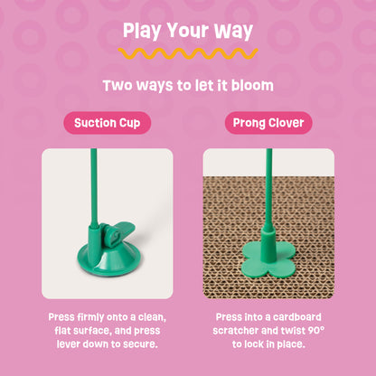 Springy Flower Cat Treat Toy and Treat Bundle
