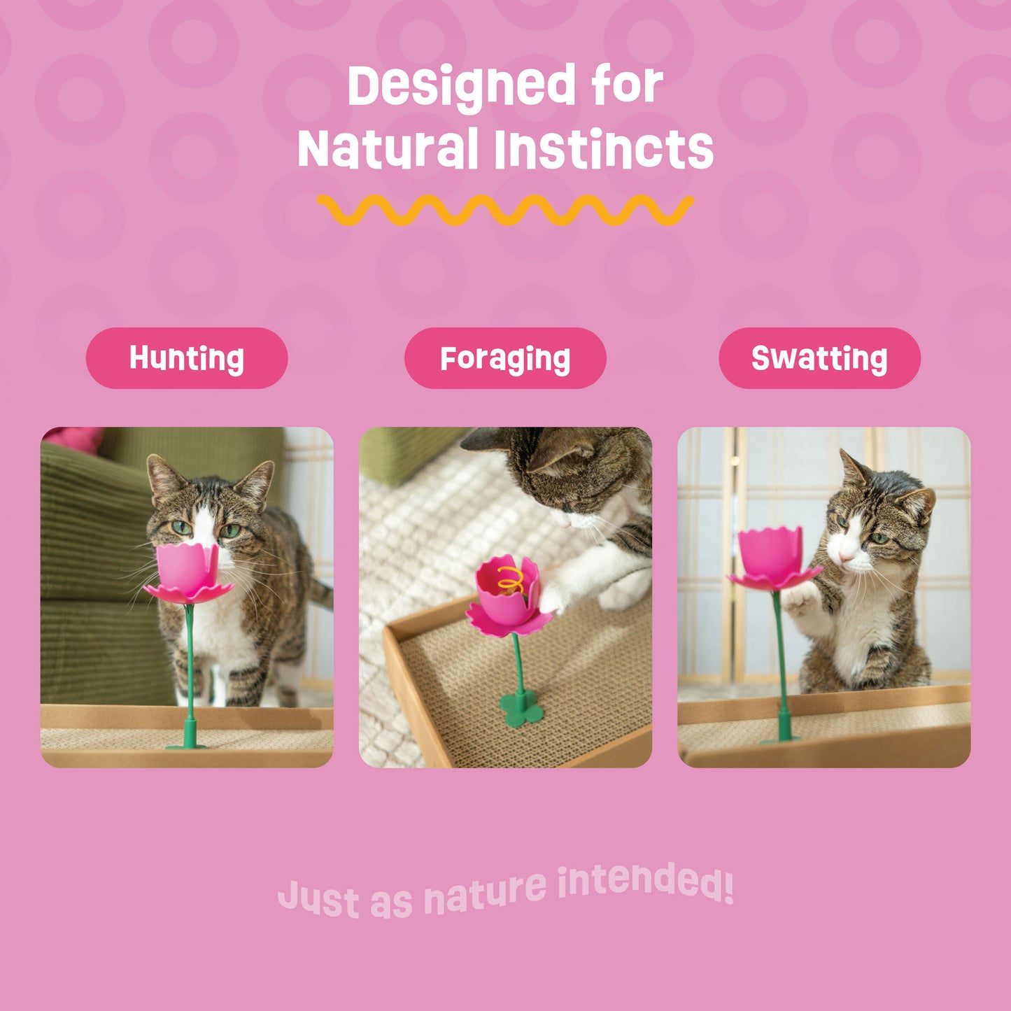 Springy Flower Cat Treat Toy and Treat Bundle