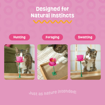 Springy Flower Cat Treat Toy and Treat Bundle