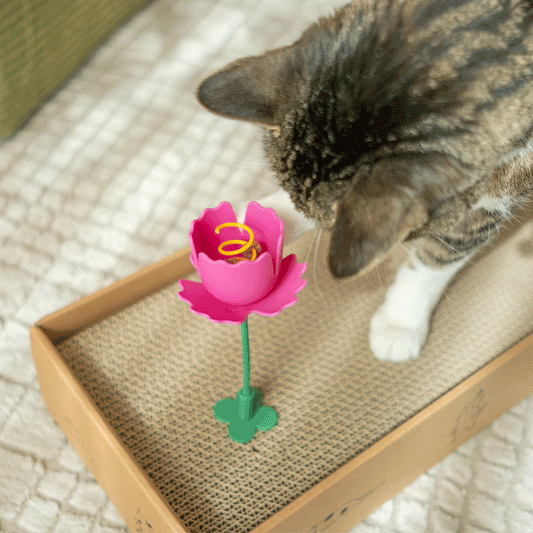 Springy Flower Cat Treat Toy