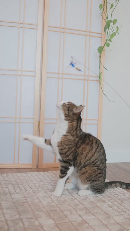 Dragonfly Tease Wand Cat Treat Toy and Treat Bundle