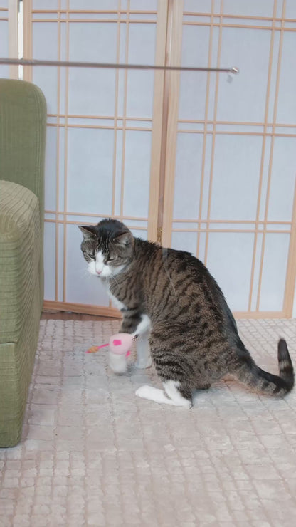 Plush Mouse Wand Cat Treat Toy
