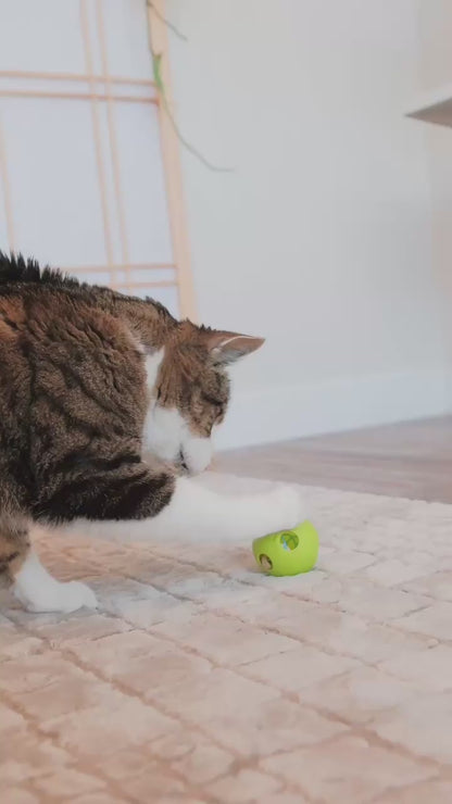 Purrkleball Treat Ball Cat Toy
