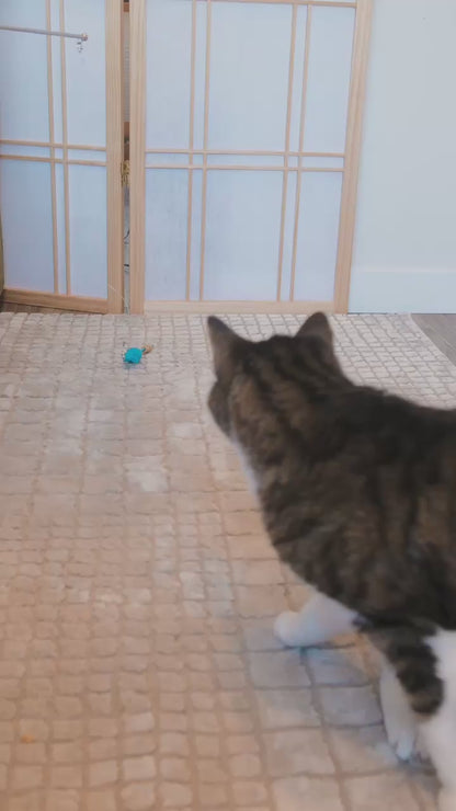 Mouse Cat Treat Toy