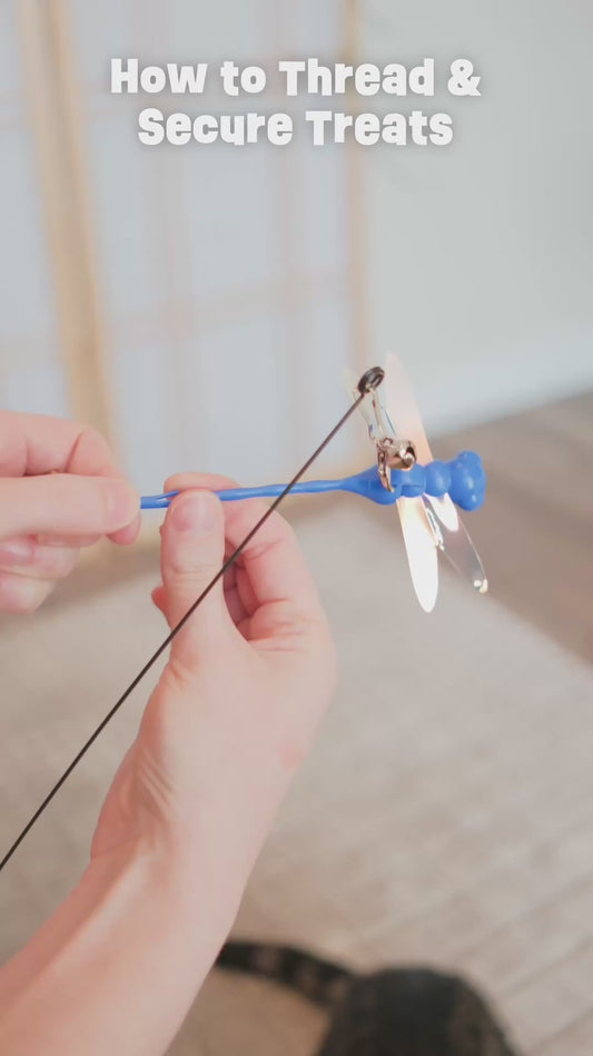 Dragonfly Tease Wand Cat Treat Toy and Treat Bundle