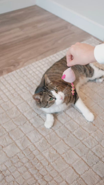 Plush Mouse Cat Treat n’ Toy