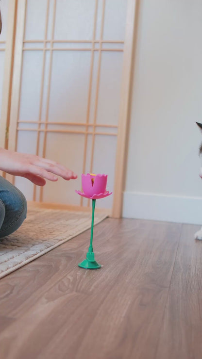 Springy Flower Cat Treat Toy