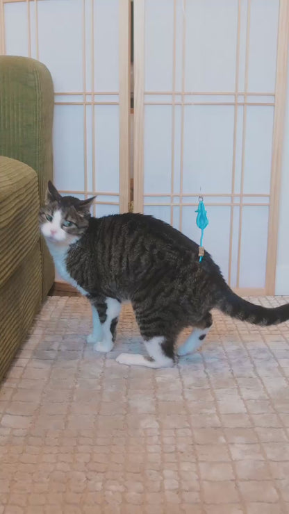 Mouse Cat Treat Toy