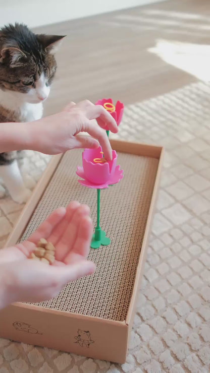 Cat Treats, 3 oz.