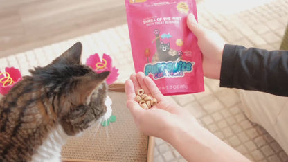 Cat Treats, 3 oz.
