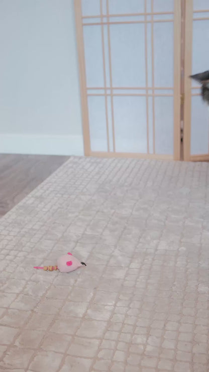 Plush Mouse Cat Treat n’ Toy